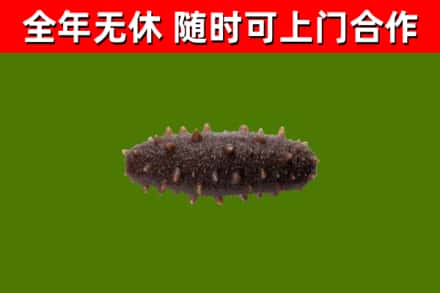 阿拉尔市烟酒回收干海参.jpg